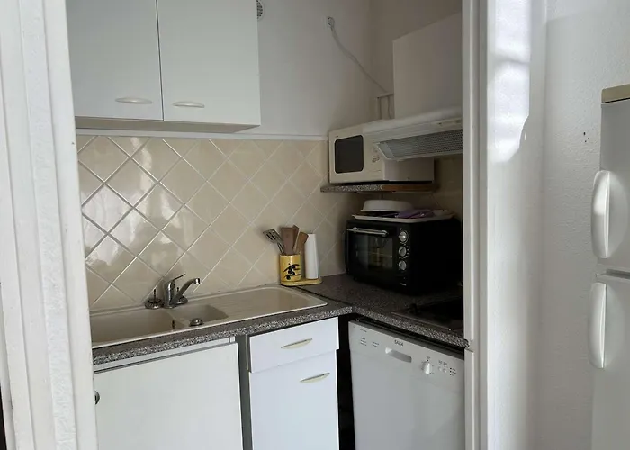 T2 Climatise Avec Garage Et Terrasse Au Grau-du-roi, 6 Couchages, Proche - Fr-1-250-267