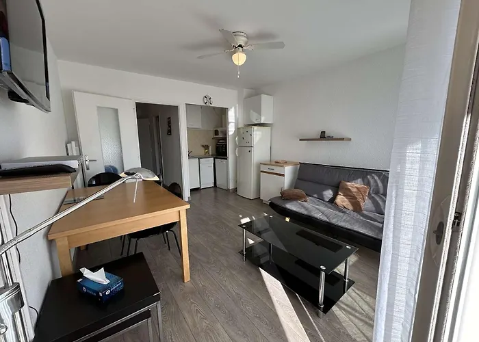 T2 Climatise Avec Garage Et Terrasse Au Grau-du-roi, 6 Couchages, Proche - Fr-1-250-267 *