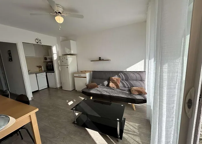 T2 Climatise Avec Garage Et Terrasse Au Grau-du-roi, 6 Couchages, Proche - Fr-1-250-267 *