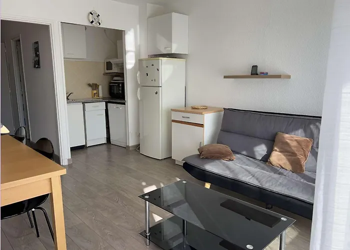 T2 Climatise Avec Garage Et Terrasse Au Grau-du-roi, 6 Couchages, Proche - Fr-1-250-267 Apartman Le Grau-du-Roi