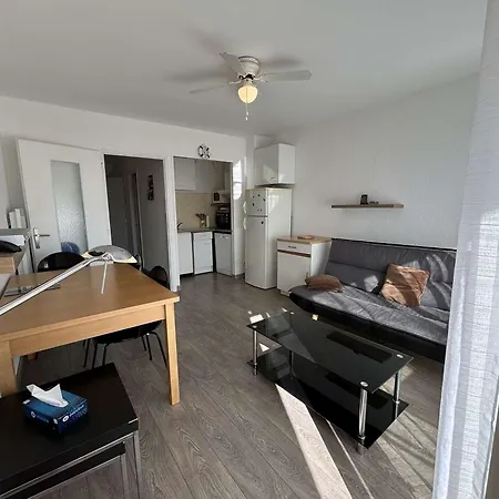 T2 Climatisé Avec Garage Et Terrasse Au Grau-du-roi, 6 Couchages, Proche - Fr-1-250-267 *