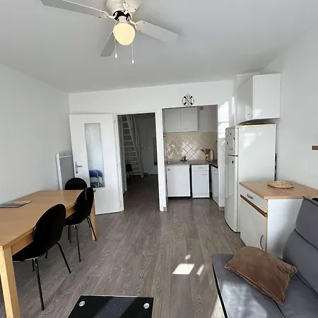 T2 Climatisé Avec Garage Et Terrasse Au Grau-du-roi, 6 Couchages, Proche - Fr-1-250-267 Appartement Le Grau-du-Roi