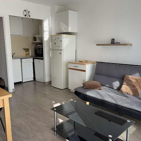 T2 Climatisé Avec Garage Et Terrasse Au Grau-du-roi, 6 Couchages, Proche - Fr-1-250-267 Appartement Le Grau-du-Roi