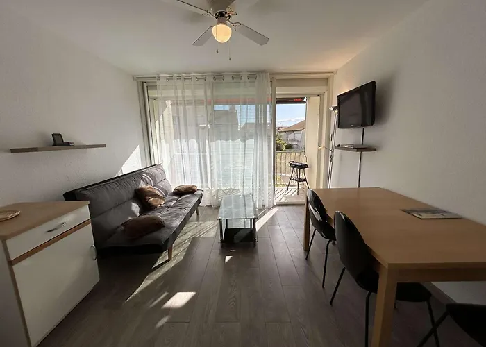 T2 Climatise Avec Garage Et Terrasse Au Grau-du-roi, 6 Couchages, Proche - Fr-1-250-267