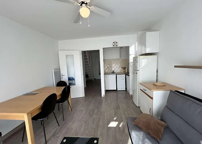 T2 Climatise Avec Garage Et Terrasse Au Grau-du-roi, 6 Couchages, Proche - Fr-1-250-267 Apartment Le Grau-du-Roi